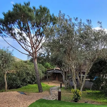Charme Et Confort Corse A Palombaggia Villa